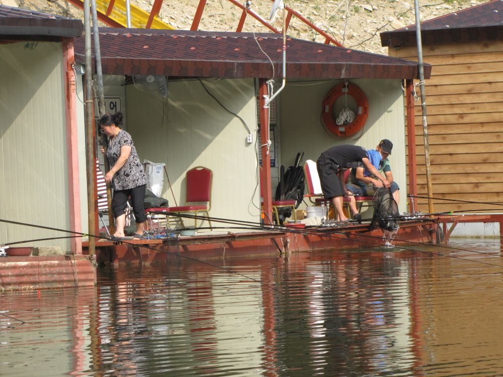 20140623IMG_0048.JPG