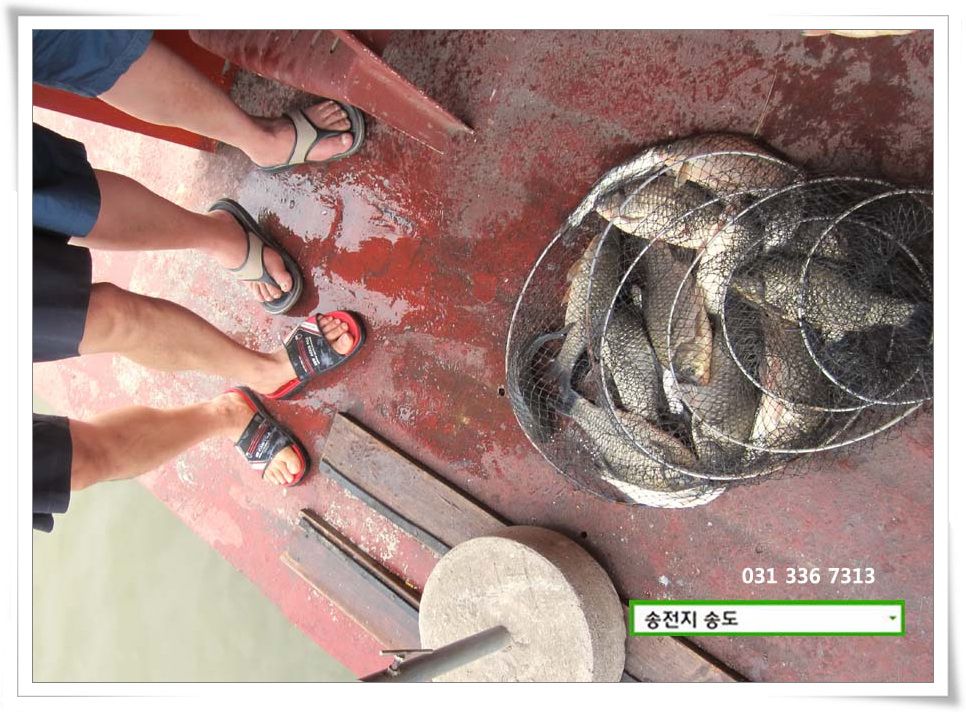 IMG_0012.jpg copy.jpg