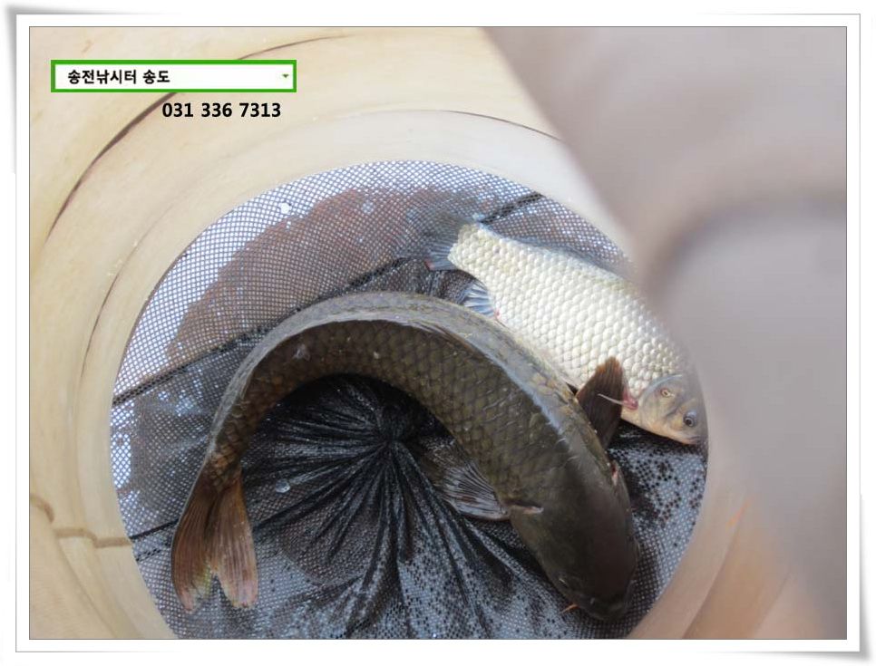 IMG_0025.JPG copy.jpg