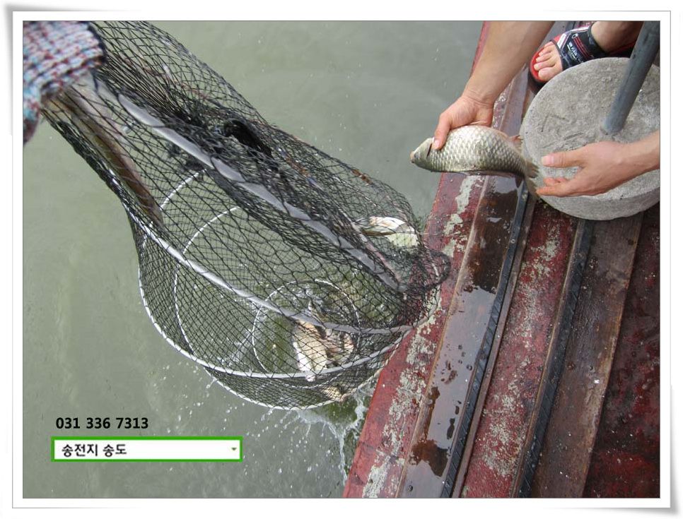 IMG_0021.JPG copy.jpg