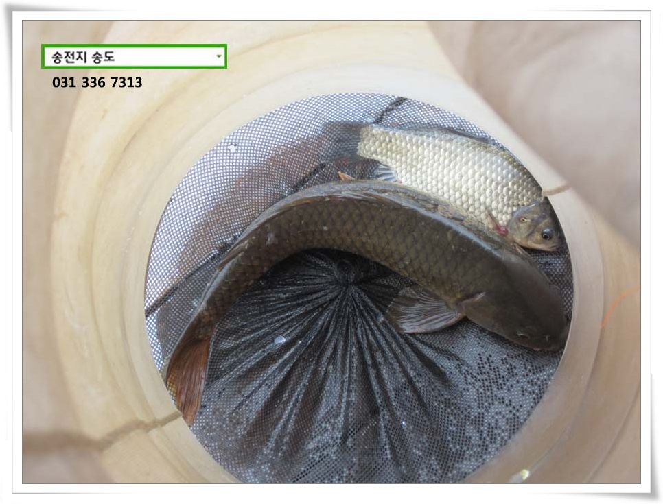 IMG_0027.JPG copy.jpg