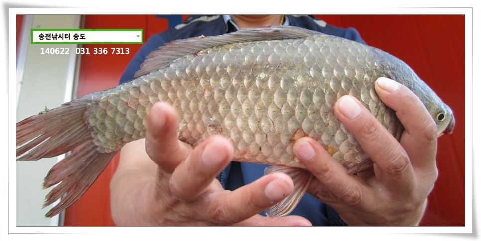 IMG_0004.JPG copy.jpg