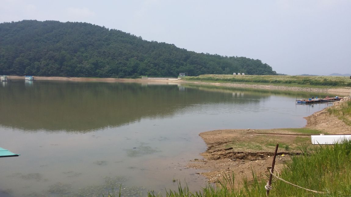 20140624_110929.jpg