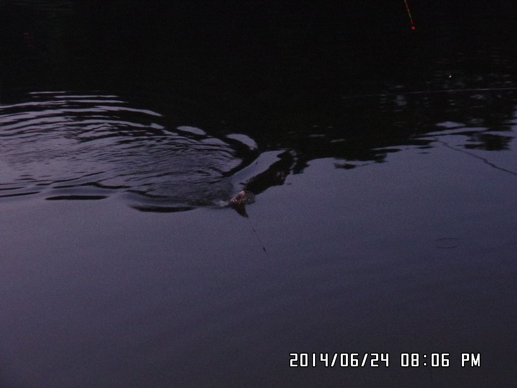 SAM_0426.JPG