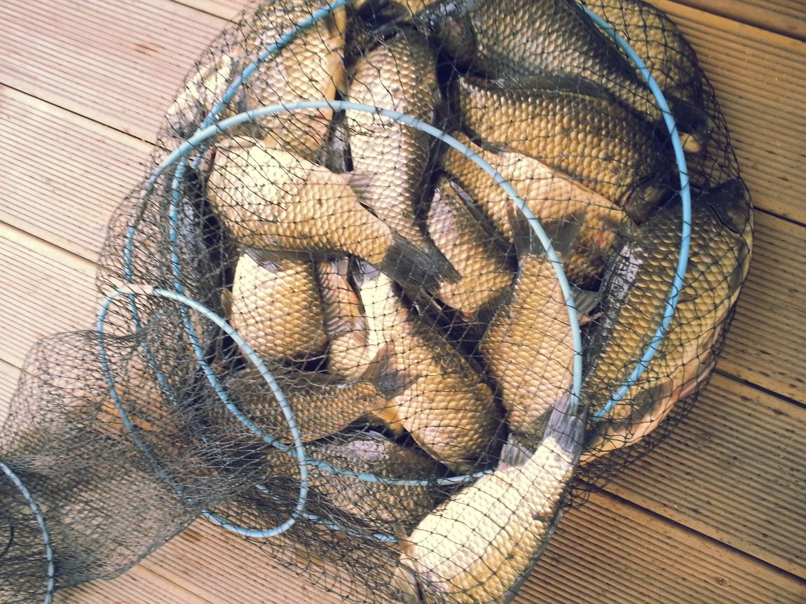 ���� 211.jpg