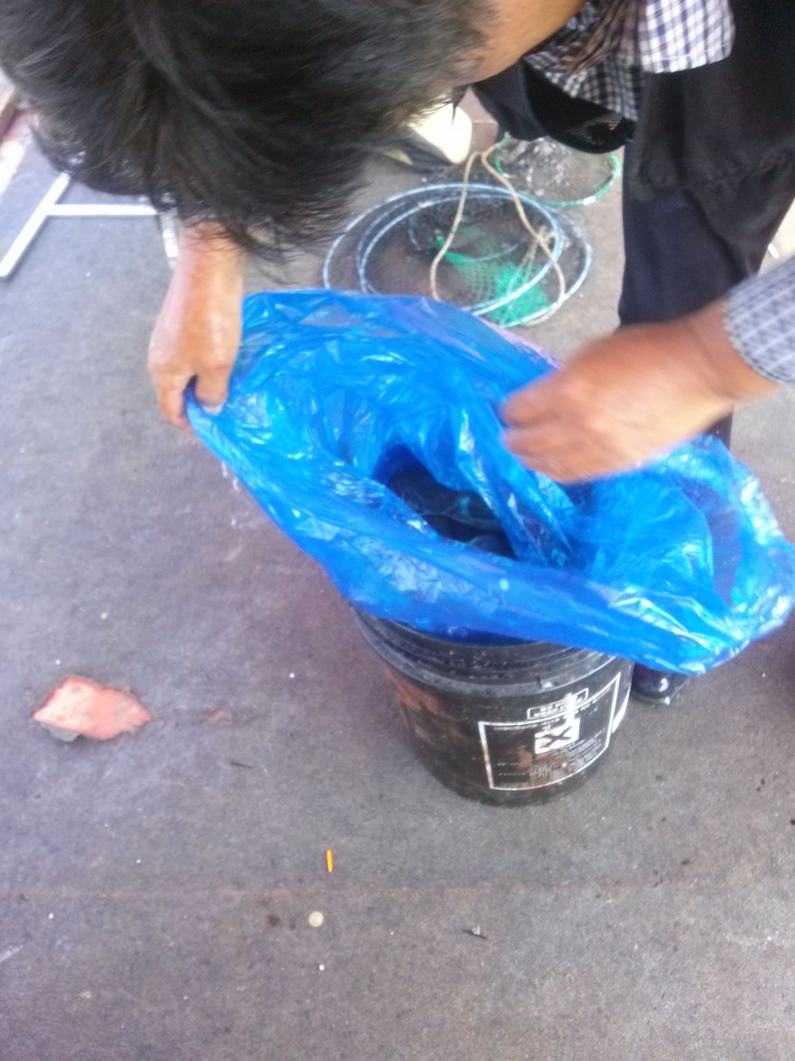 CAM00432.jpg