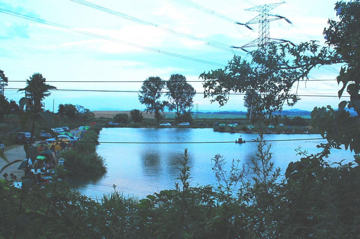 �ٹ̱�_DSC_0016.JPG