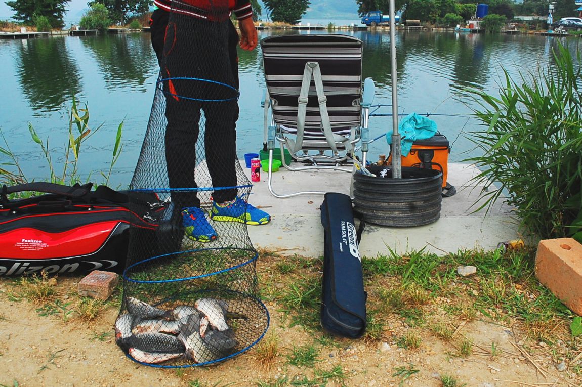 �ٹ̱�_DSC_0006.JPG