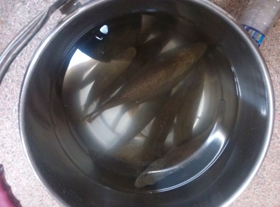 CAM01150.jpg