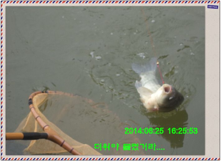 �ٹ̱�_DSC01933.JPG
