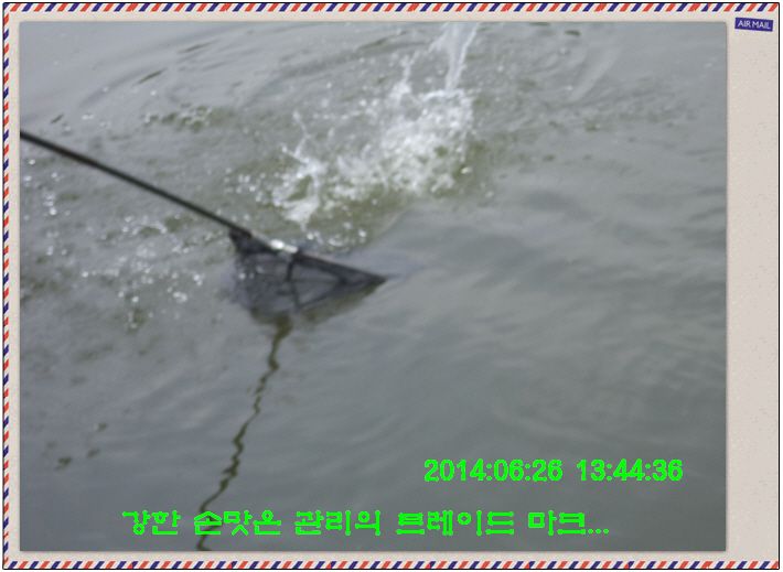 �ٹ̱�_DSC01935.JPG