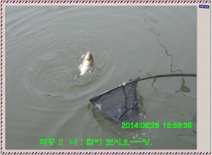 �ٹ̱�_DSC01939.JPG