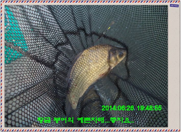 �ٹ̱�_DSC01941.JPG