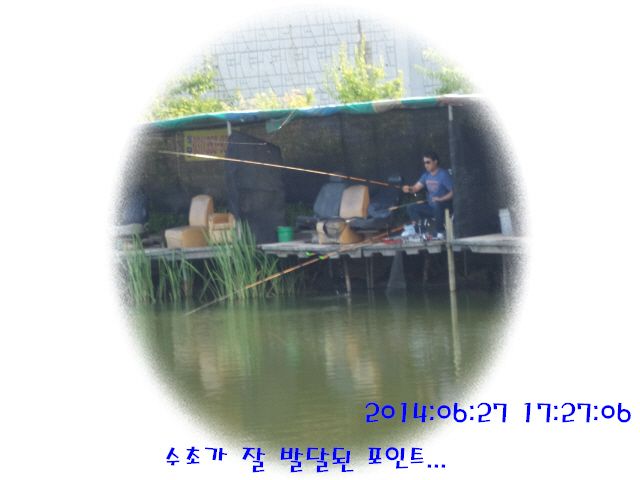 �ٹ̱�_DSC01944.JPG