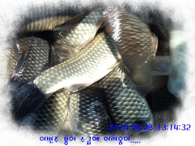 �ٹ̱�_DSC01953.JPG