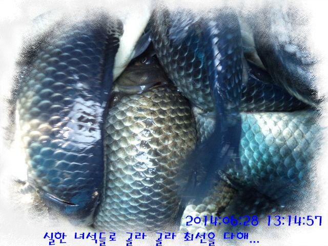 �ٹ̱�_DSC01955.JPG
