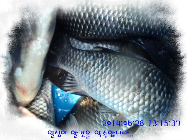 �ٹ̱�_DSC01957.JPG