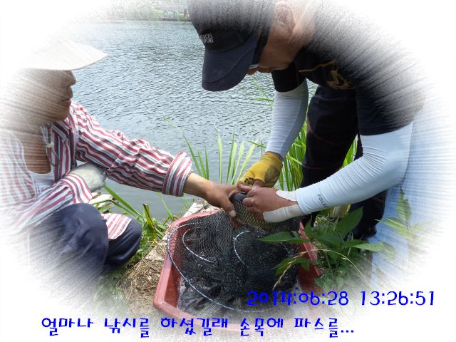 �ٹ̱�_DSC01959.JPG