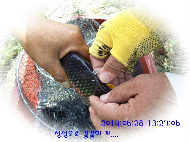 �ٹ̱�_DSC01961.JPG