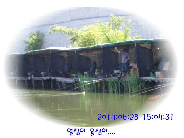 �ٹ̱�_DSC01970.JPG