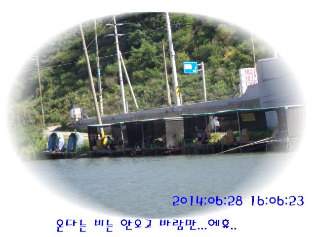 �ٹ̱�_DSC01973.JPG