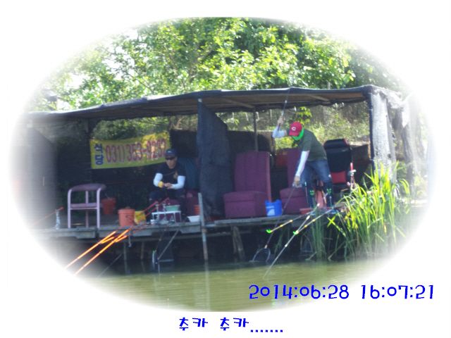 �ٹ̱�_DSC01974.JPG