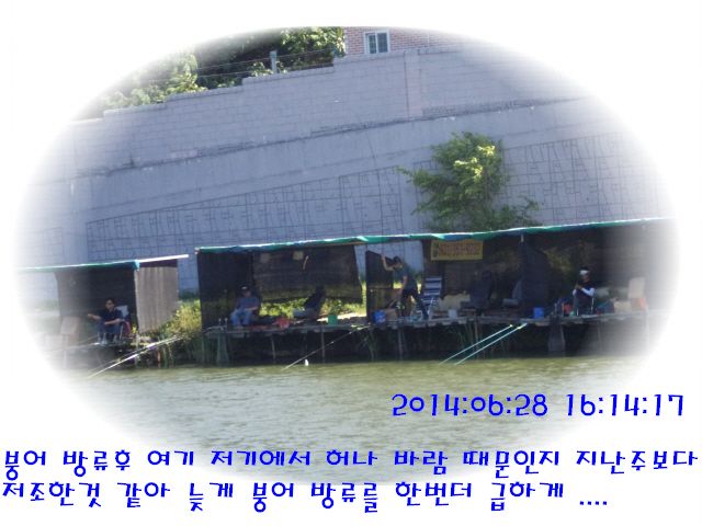 �ٹ̱�_DSC01975.JPG