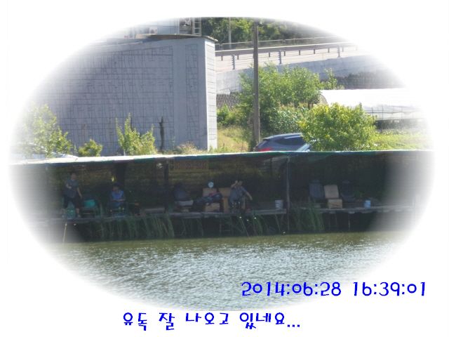 �ٹ̱�_DSC01976.JPG