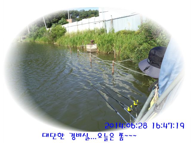 �ٹ̱�_DSC01978.JPG