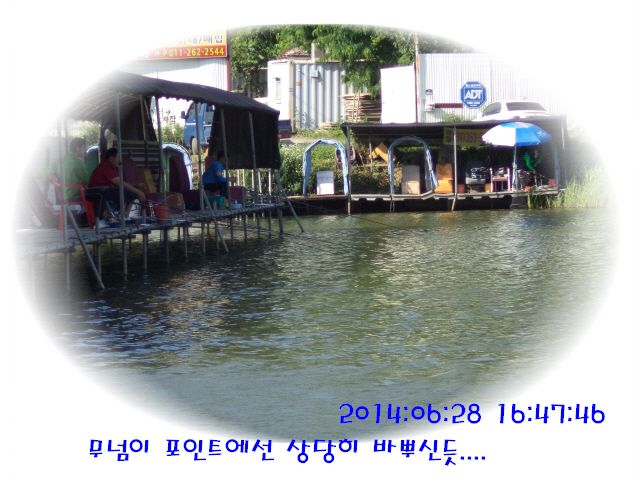 �ٹ̱�_DSC01980.JPG
