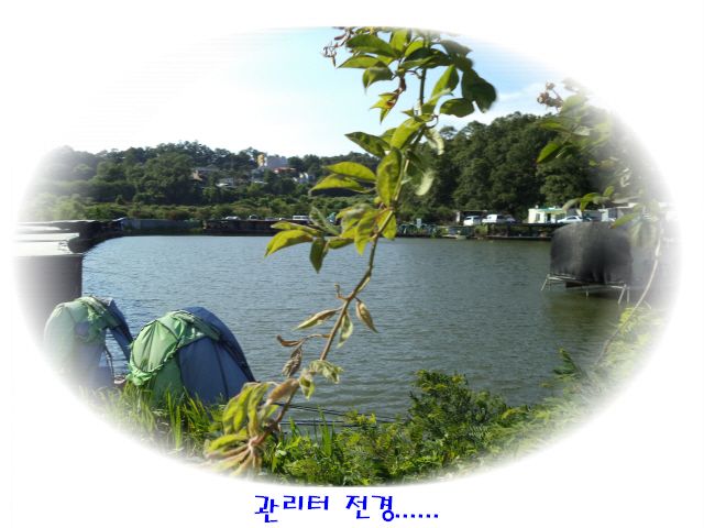 �ٹ̱�_DSC01981.JPG