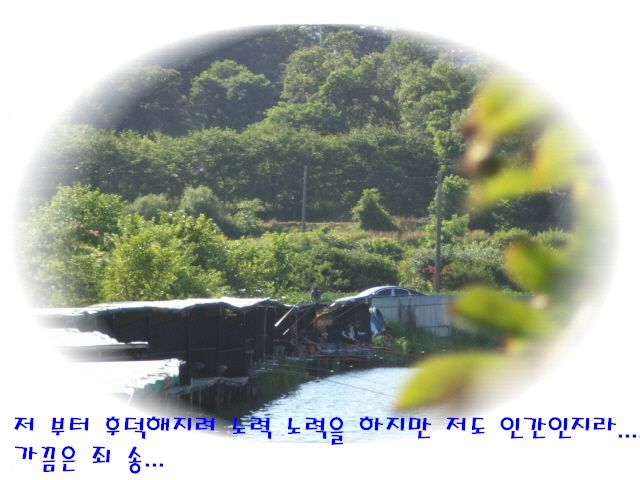 �ٹ̱�_DSC01982.JPG