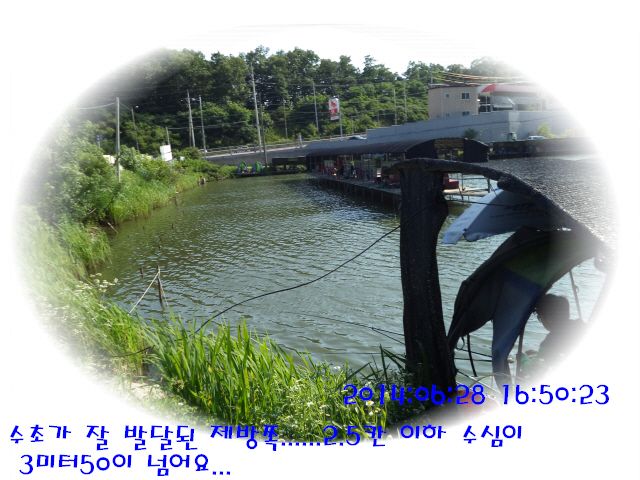 �ٹ̱�_DSC01983.JPG