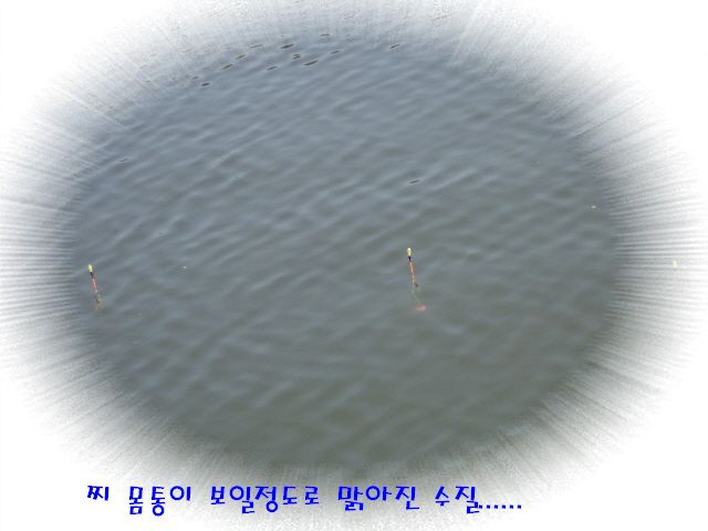 �ٹ̱�_DSC01993.JPG