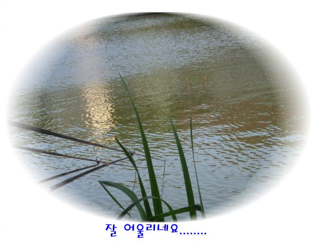 �ٹ̱�_DSC01995.JPG