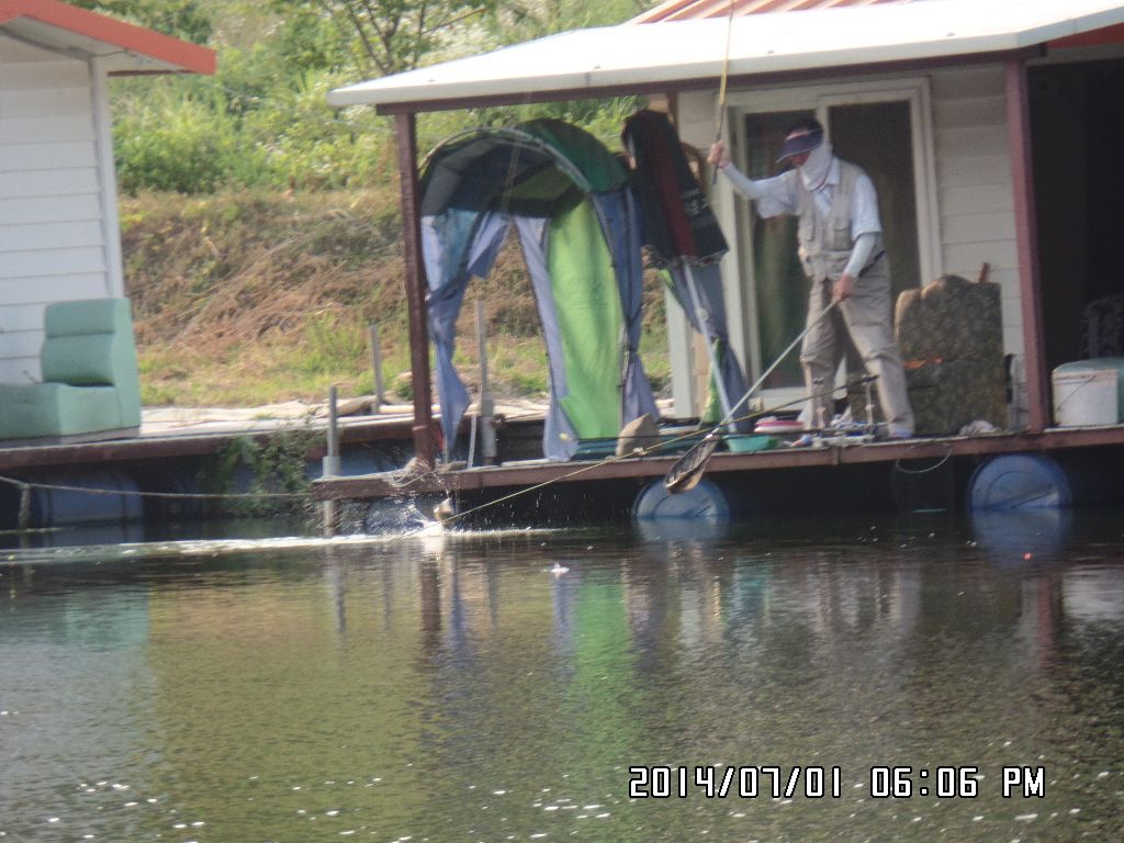 SAM_0661.JPG