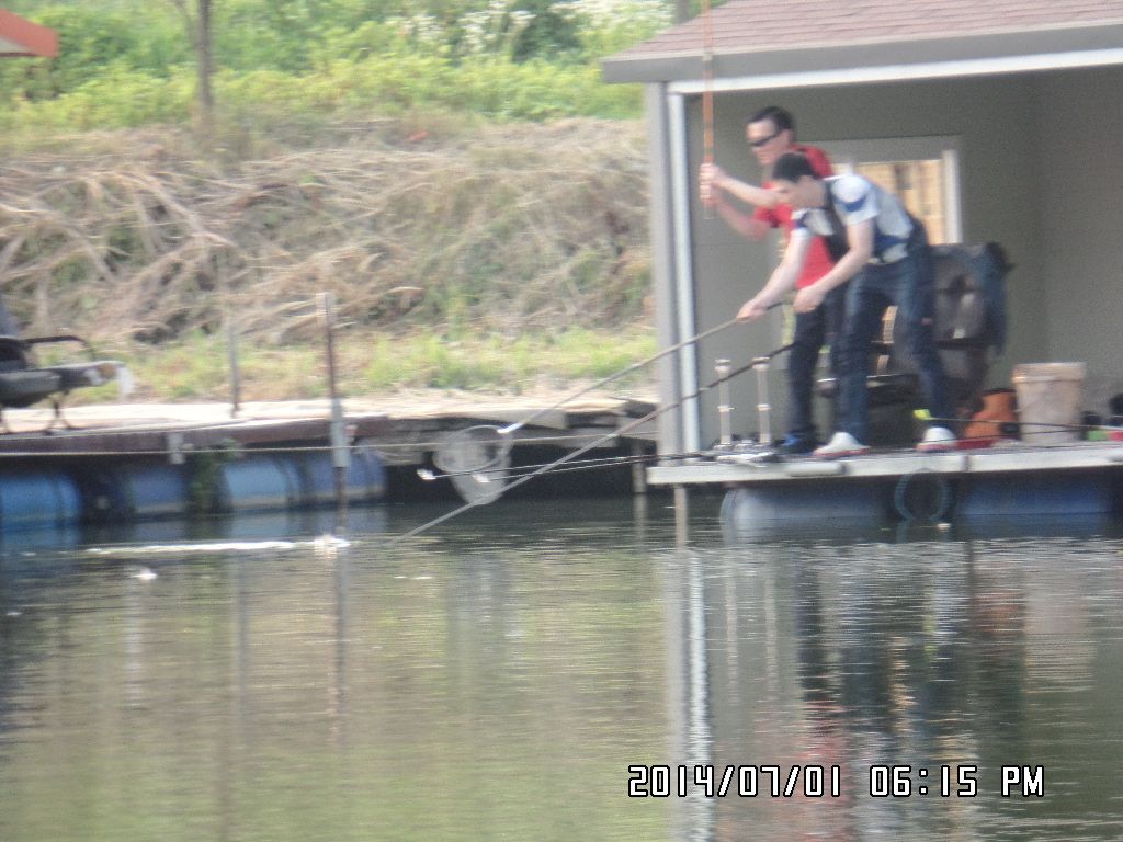 SAM_0667.JPG