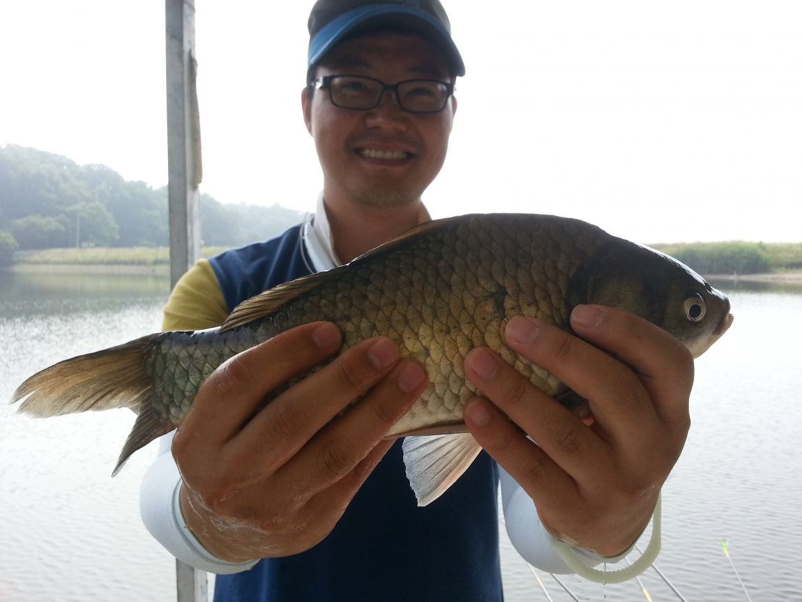 20140701_091833.jpg