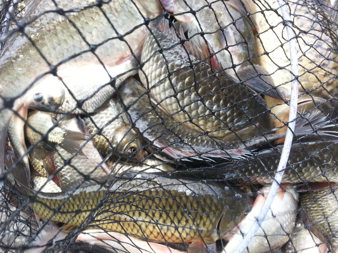 20140628_121629.jpg
