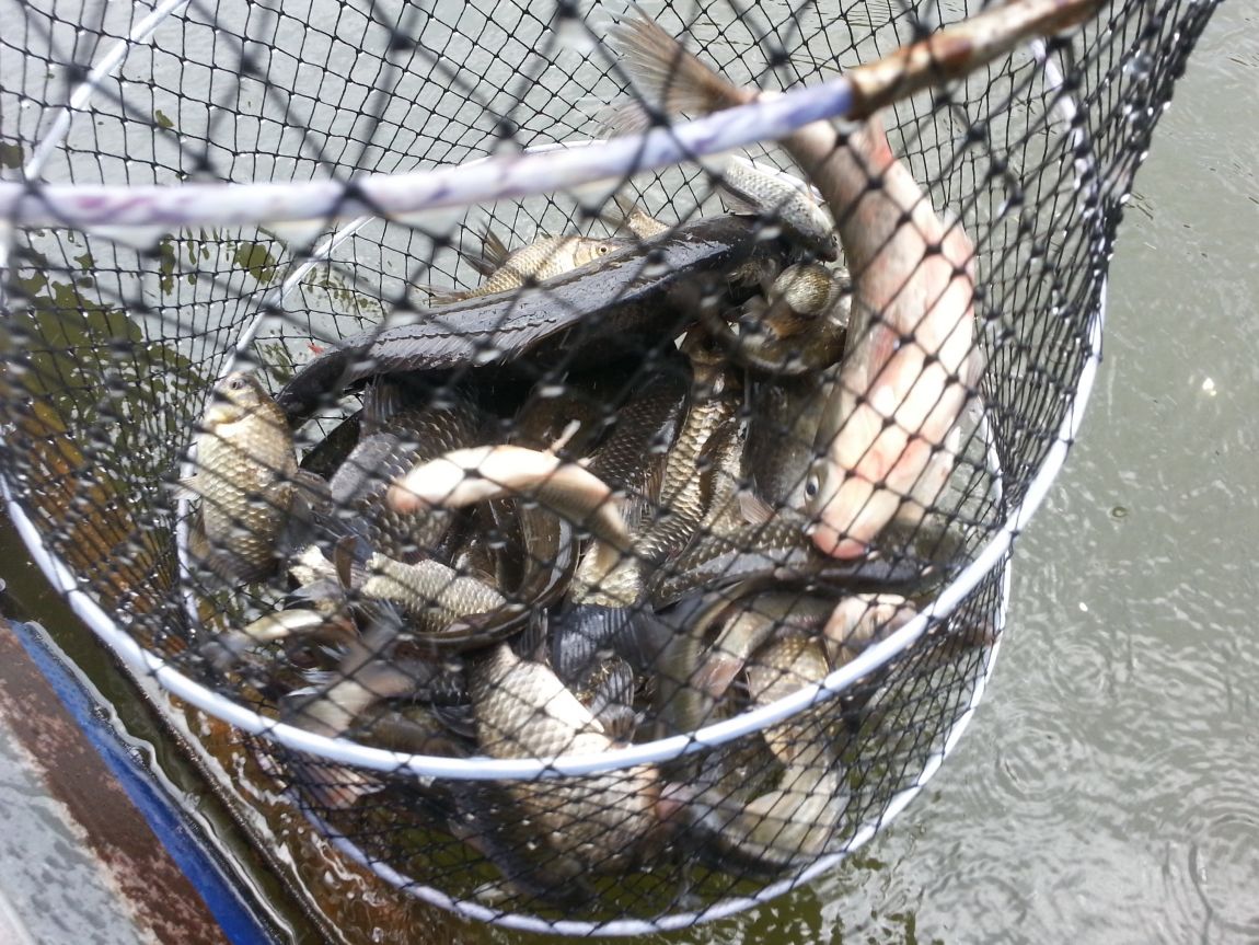 20140628_121609.jpg