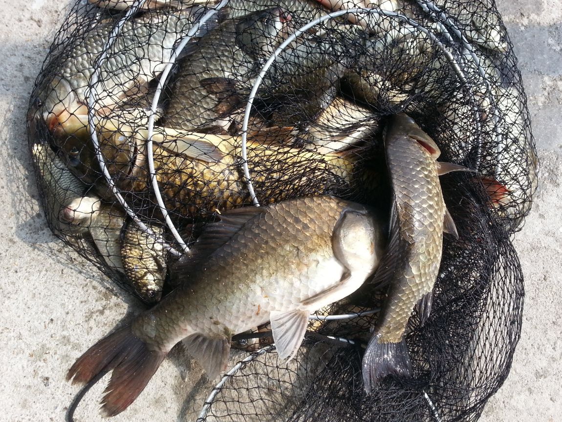 20140701_091944.jpg