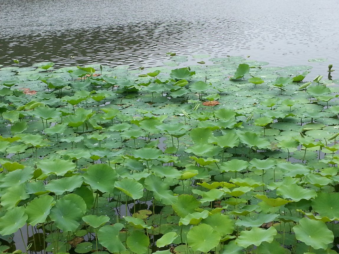 20140702_160541.jpg