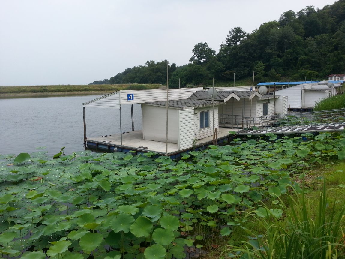 20140702_160436.jpg