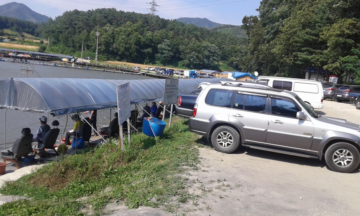 ���� 206.jpg