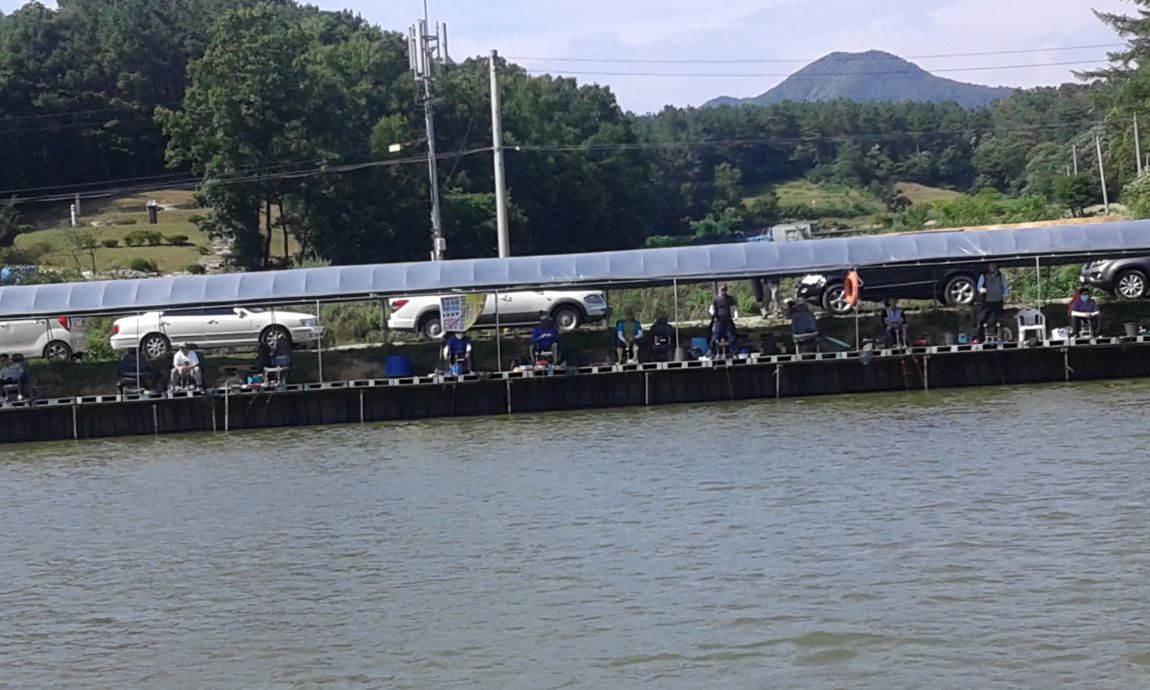 ���� 204.jpg