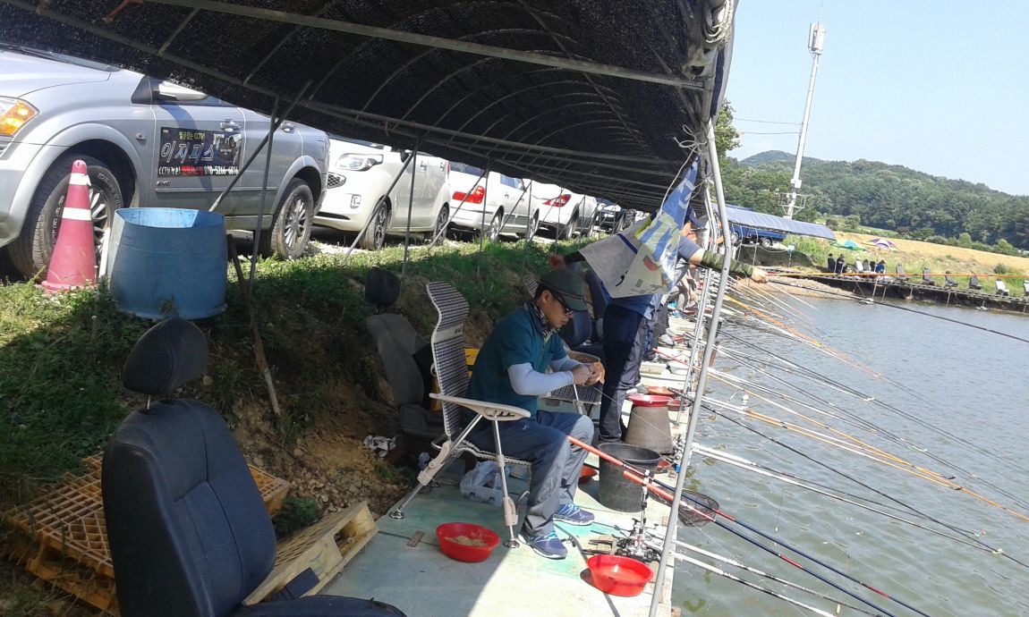 ���� 203.jpg