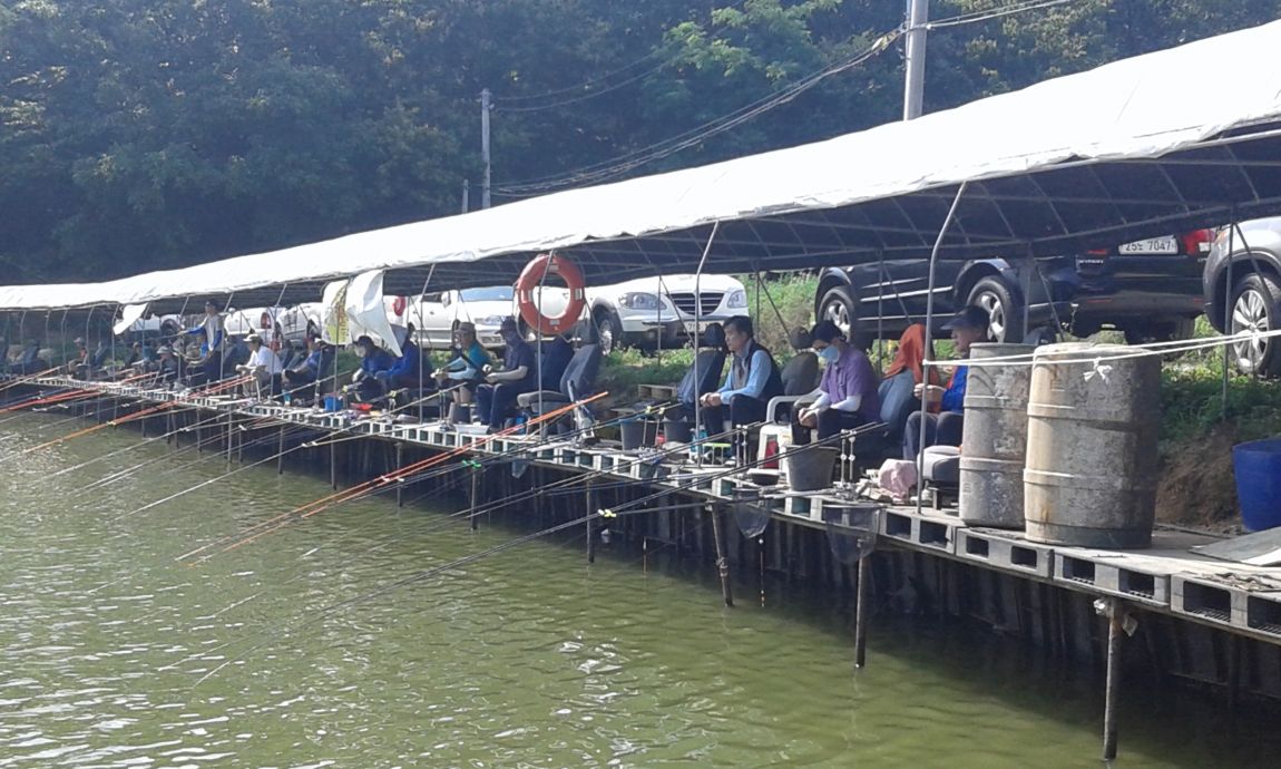 ���� 201.jpg