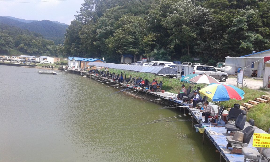 ���� 195.jpg