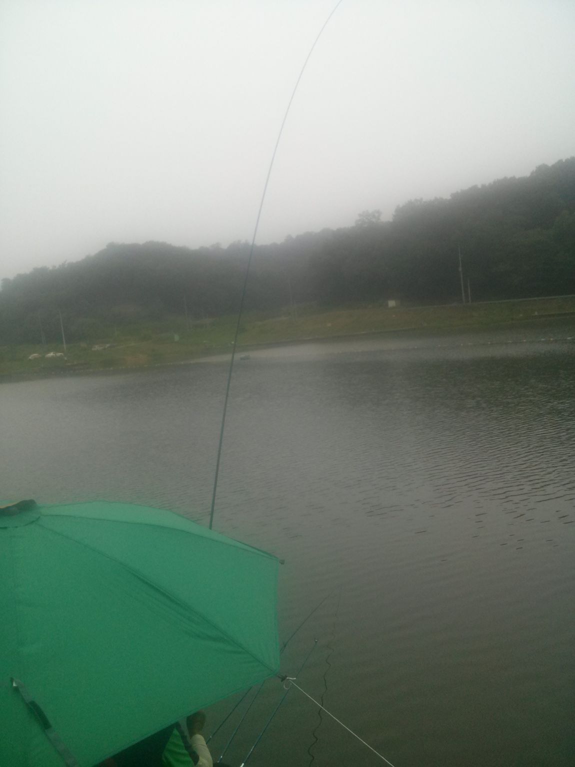CAM02142.jpg
