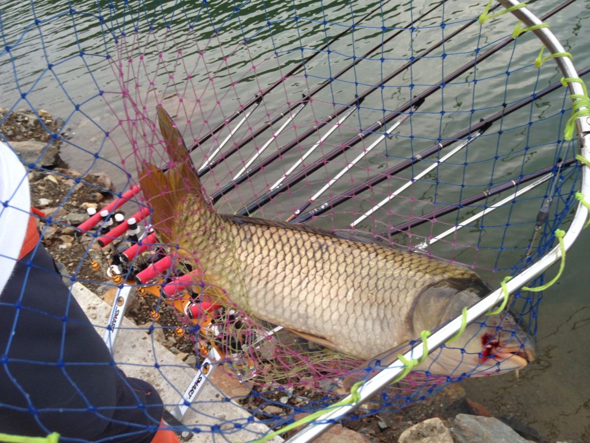 ���� 004.jpg